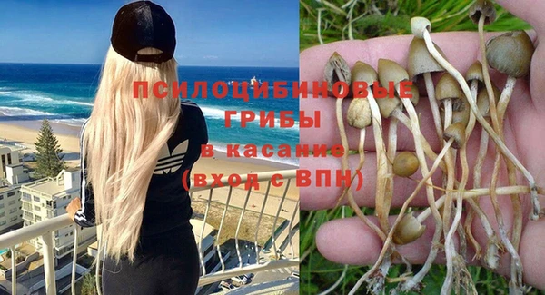 apvp Аркадак