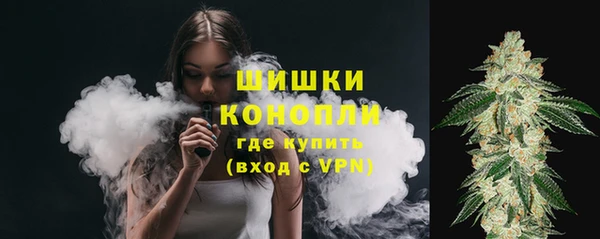 apvp Аркадак