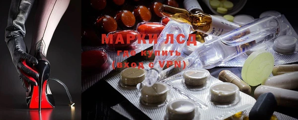 apvp Аркадак