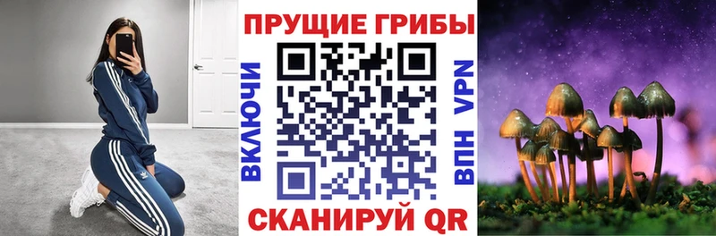 Псилоцибиновые грибы Magic Shrooms  hydra сайт  Урюпинск  где можно купить  